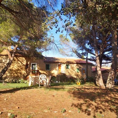 Maison Entiere Hameau Monastir Del Camp Passa Eksteriør bilde