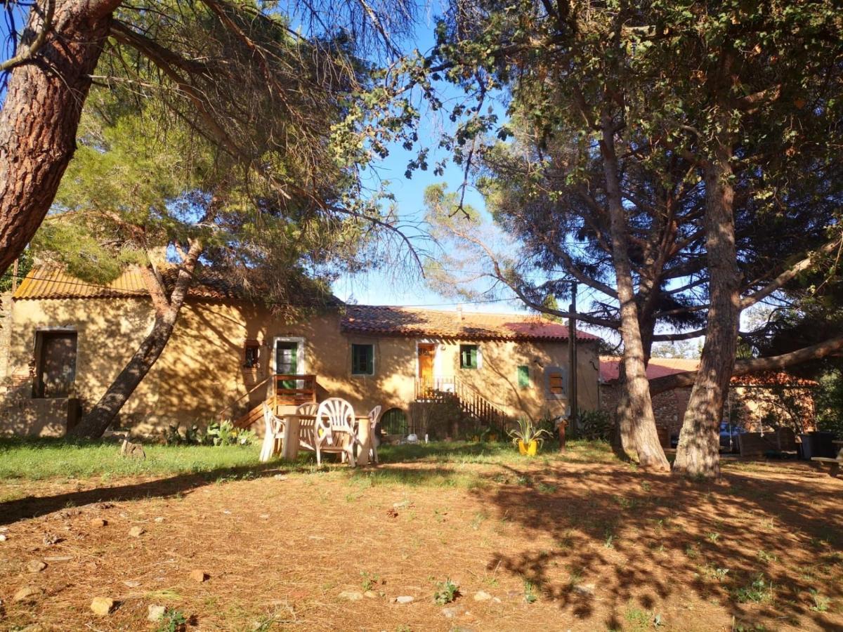 Maison Entiere Hameau Monastir Del Camp Passa Eksteriør bilde